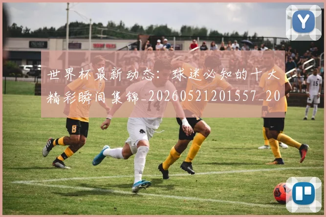 世界杯最新动态:球迷必知的十大精彩瞬间集锦_20260521201557_20260607160536